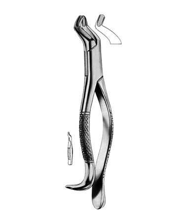 Extracting Forceps Amarican Pattern