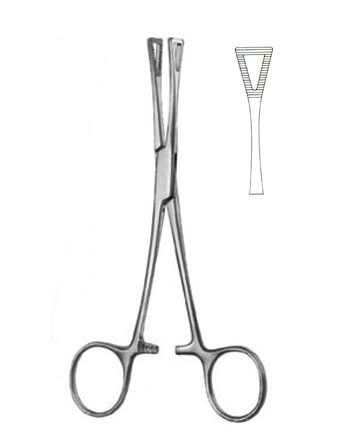 Artery Forceps