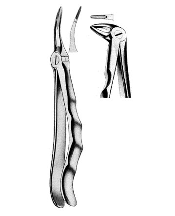 Extracting Forceps English Pattern